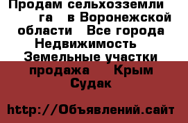 Продам сельхозземли ( 6 000 га ) в Воронежской области - Все города Недвижимость » Земельные участки продажа   . Крым,Судак